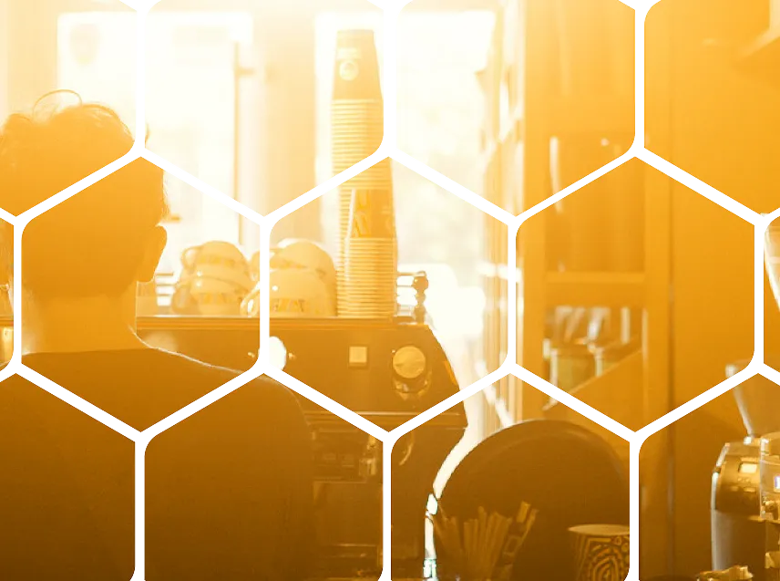 Honeycomb art